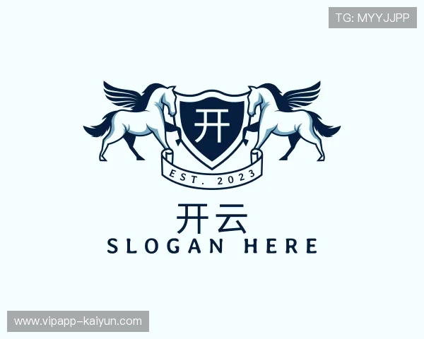 解读开云公司
